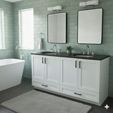 Monroe vanity 2 sinks