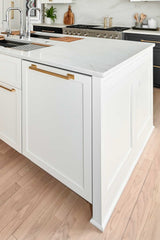 door panel for appliance